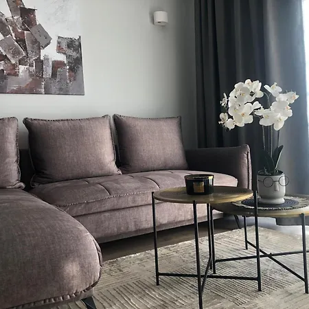 Luxurious In The Heart Of Old Town With Parking Kaunas