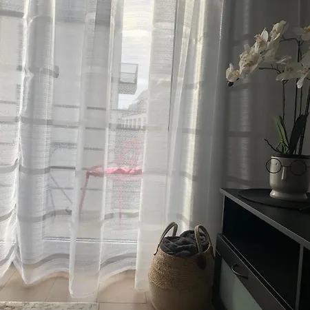 Apartment Luxurious In The Heart Of Old Town With Parking Kaunas