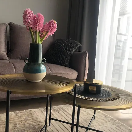 Luxurious In The Heart Of Old Town With Parking * קובנה