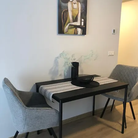 Luxurious In The Heart Of Old Town With Parking 公寓