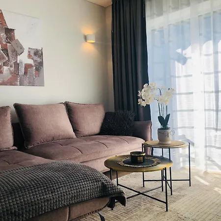 Luxurious In The Heart Of Old Town With Parking Kaunas