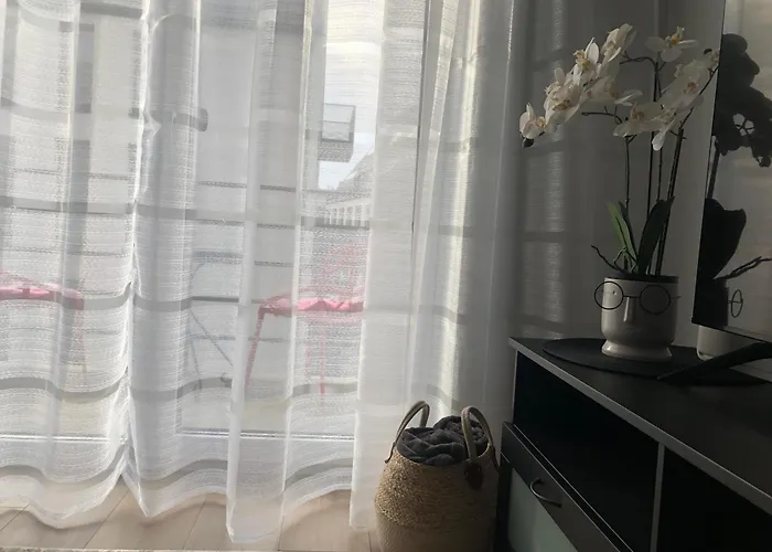 דירה Luxurious In The Heart Of Old Town With Parking קובנה